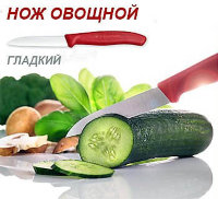Нож для овощей - гладкий